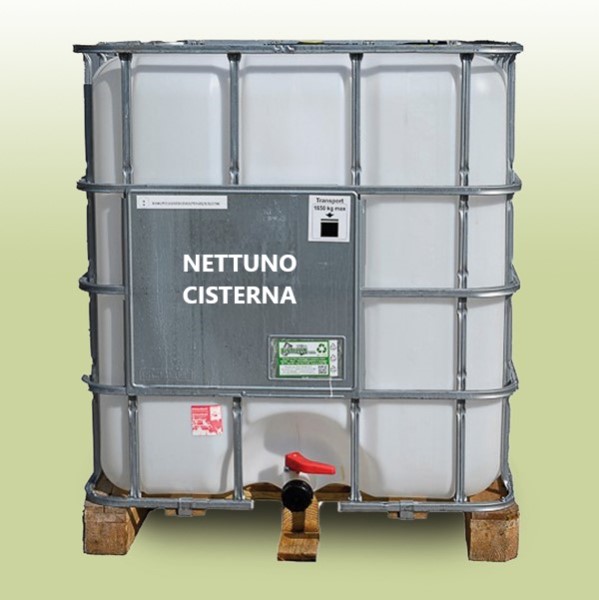 NETTUNO CISTERNA